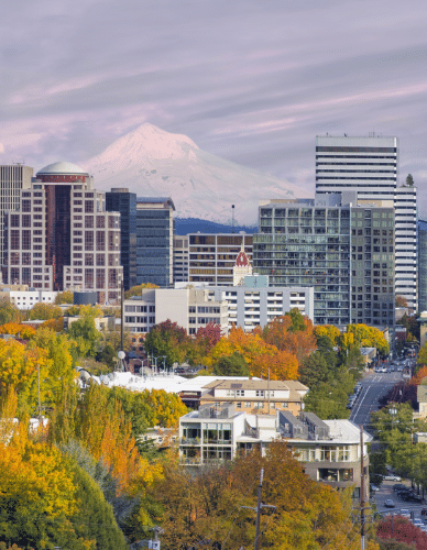 6DH_Mt Hood_388x500px